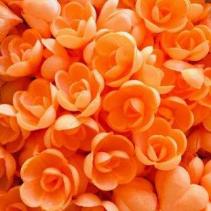 Вафельные цветы "Топ декор" Розы малые Красные