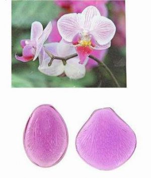Молд пластик Орхидея маленькая (набор 2 шт)