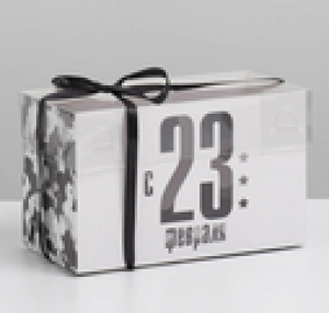 Коробка на 2 капкейка с PVC крышкой «23 февраля», 16 × 8 × 10 см