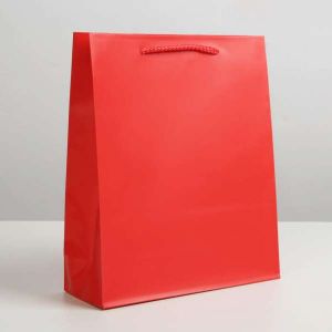 Пакет ламинированный «Красный», ML 21 х 25 х 8 см