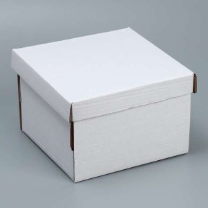 Коробка «Белая» 22*22*15 см