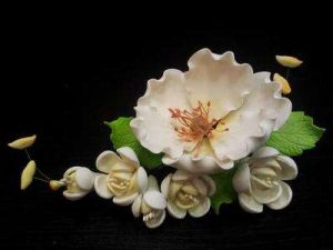 Цветы из мастики - "Яблоневый цвет", Белый (11985)